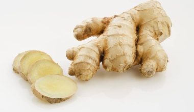 Ginger