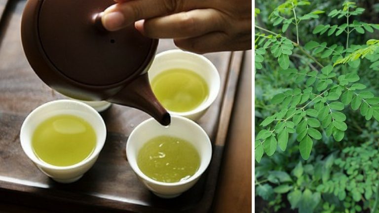 Moringa Tea