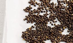 Papaya Seeds