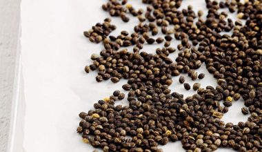 Papaya Seeds