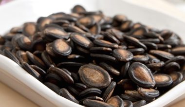 Watermelon Seeds