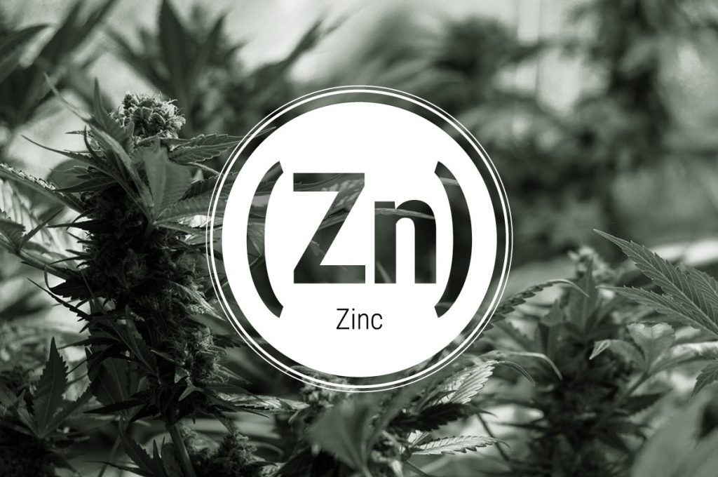 zinc