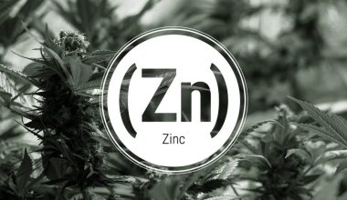 zinc