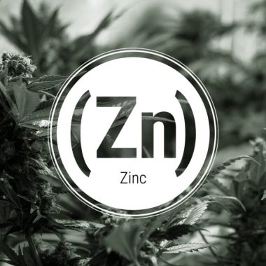 zinc