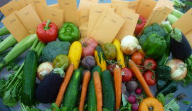 Hybrid Fruits and Vegetables