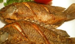 Eating Seafood