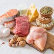 Protein Myths