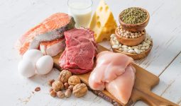 Protein Myths