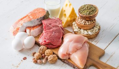 Protein Myths