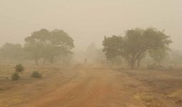 Harmattan