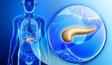 pancreas