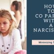 Narcissistic Co-parent