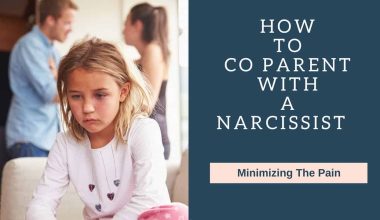 Narcissistic Co-parent