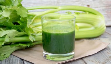 Celery Juice