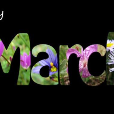 Happy march