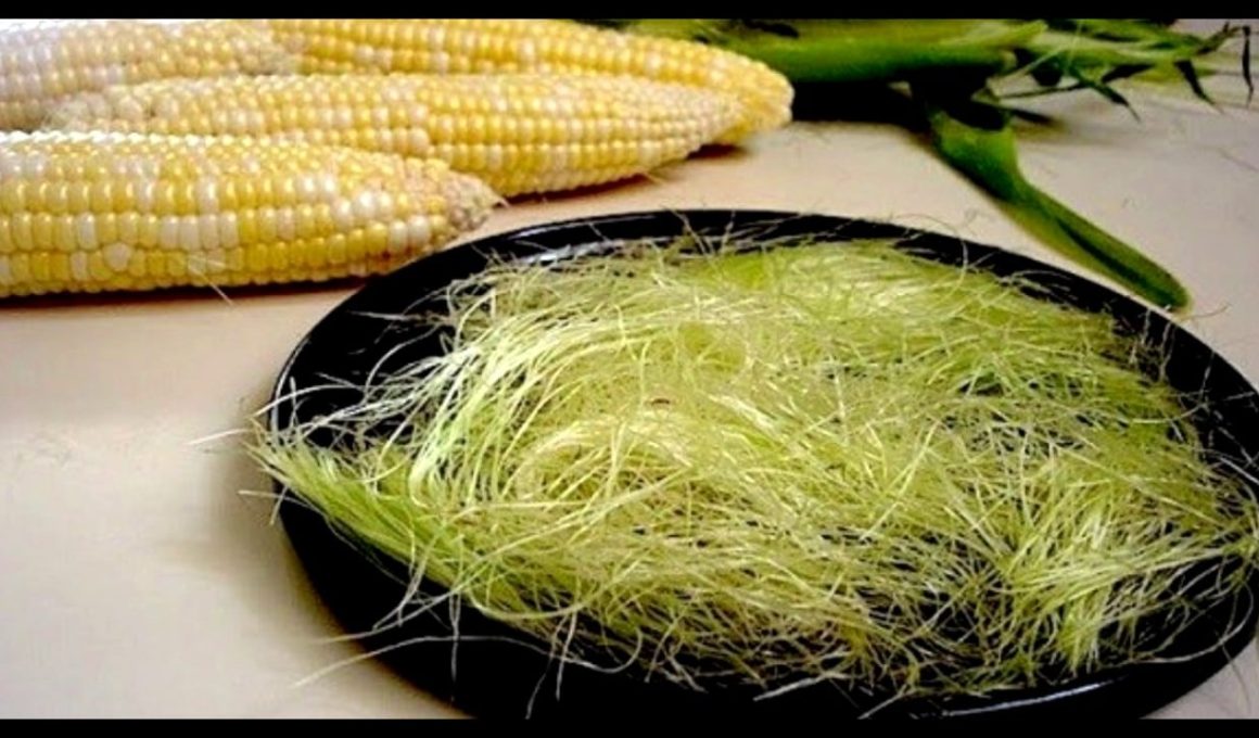 Corn Silk