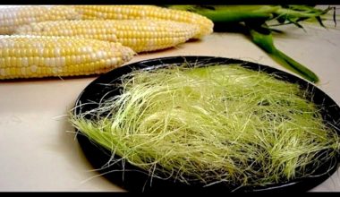 Corn Silk