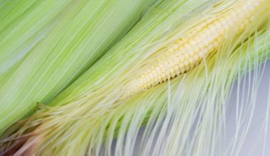 Corn Silk
