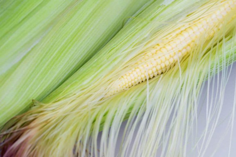 Corn Silk