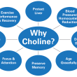 Choline