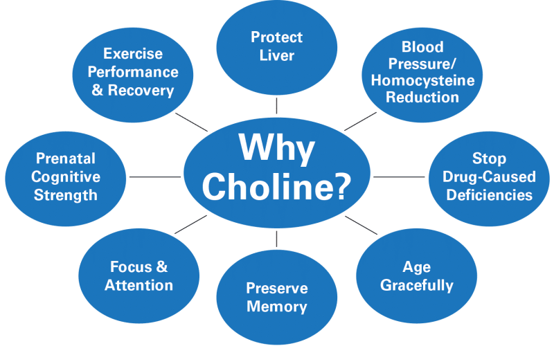 Choline