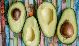 Types of Avocados