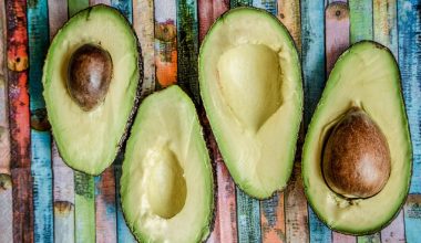 Types of Avocados