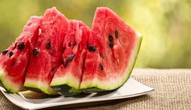 Watermelon Fattening