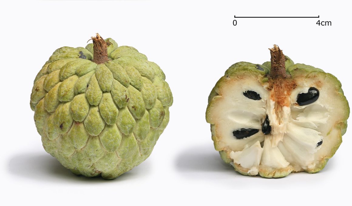 Atis Fruit