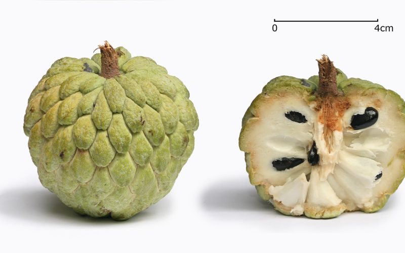Atis Fruit