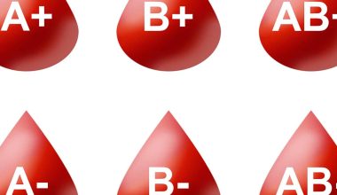 Blood Type Diet