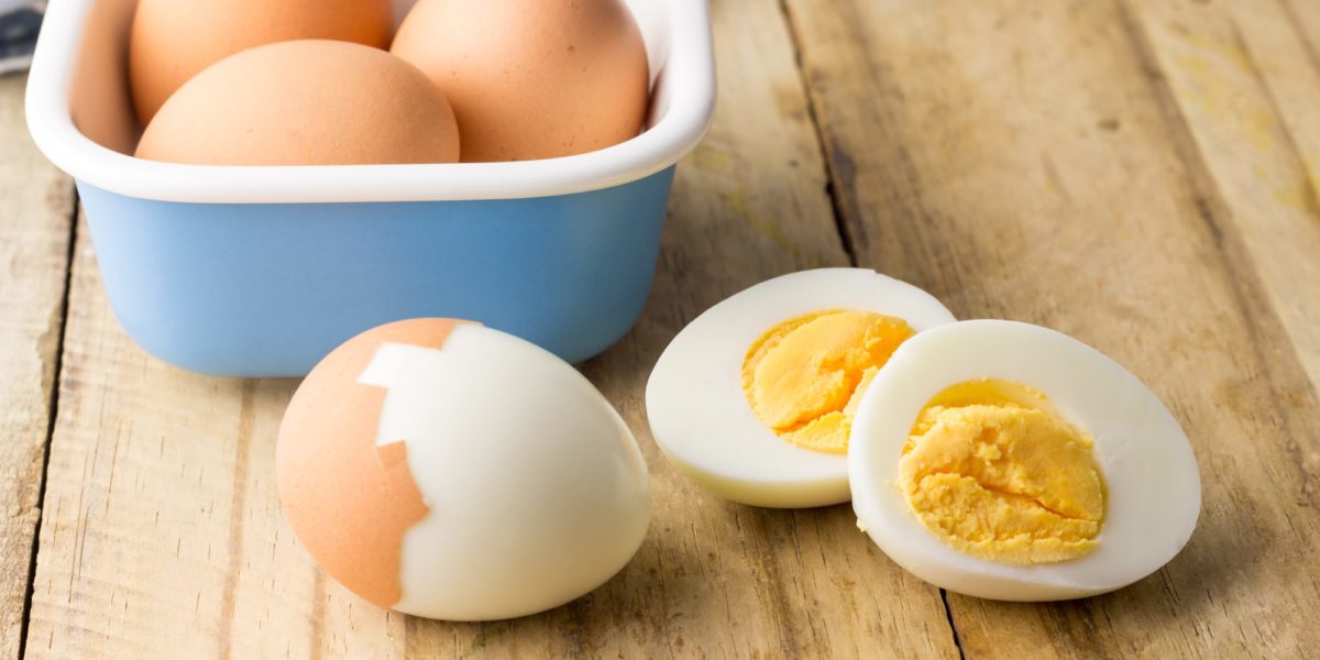 Boiled Egg Diet