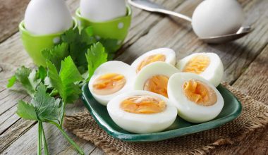 Egg Diet