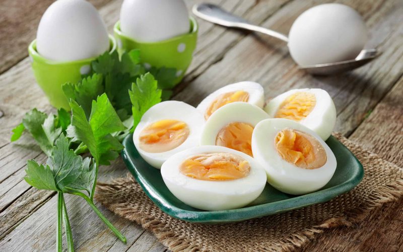 Egg Diet