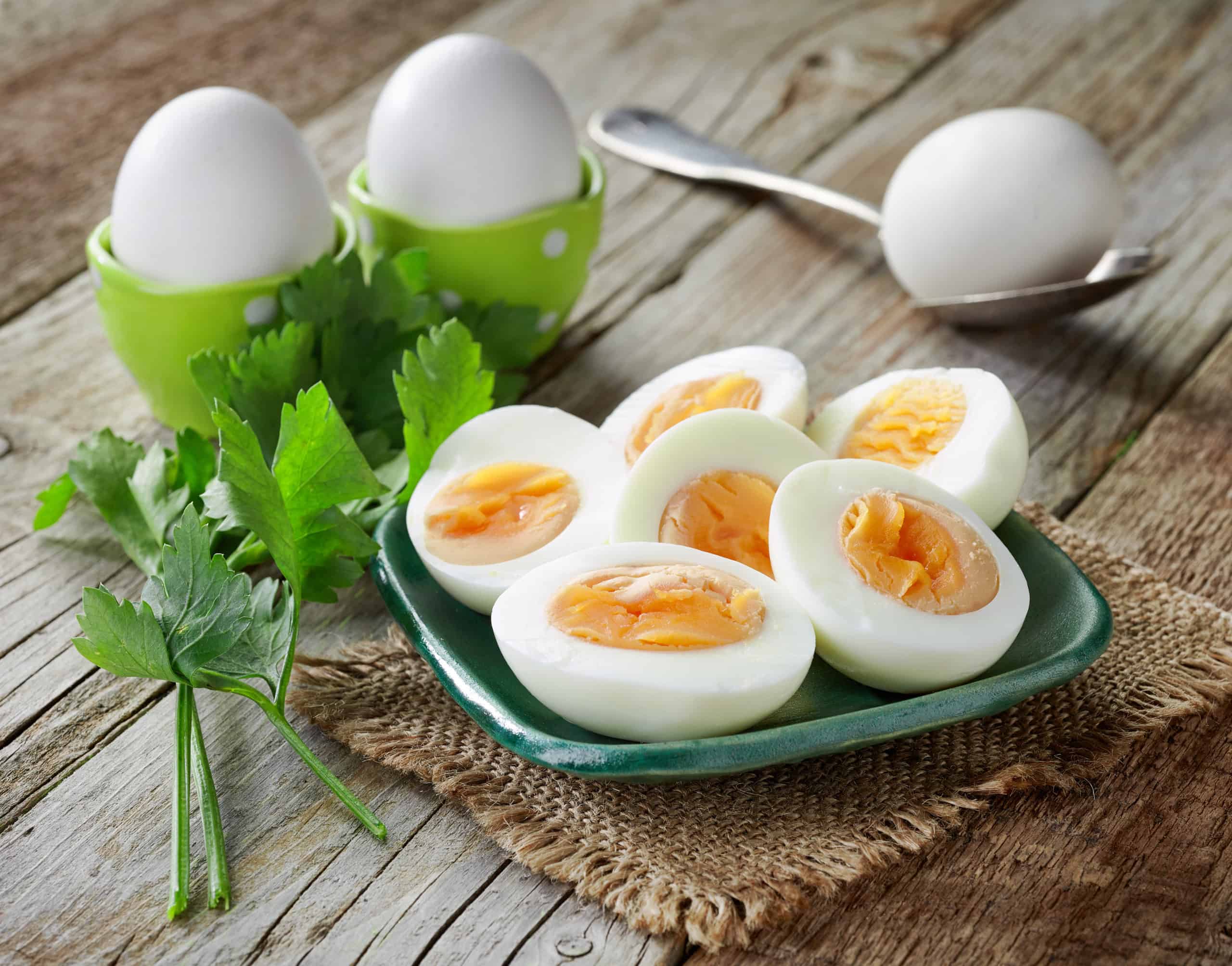 Egg Diet