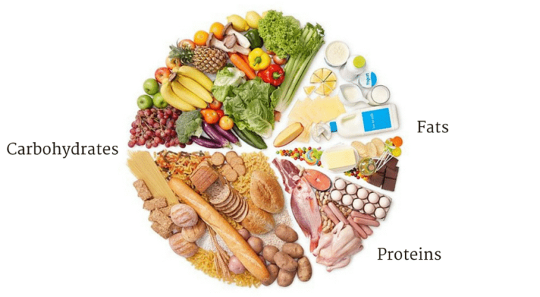 Macronutrients