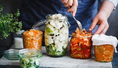 Probiotic-rich Foods
