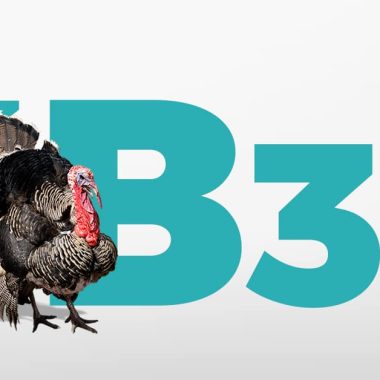 Vitamin B-3