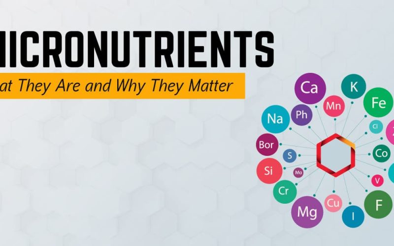 Micronutrients