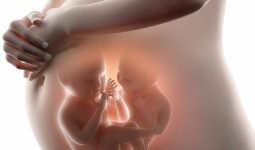 twins pregnancy
