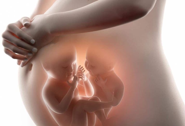 twins pregnancy