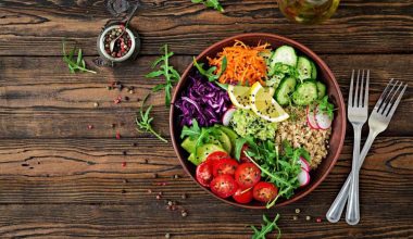 Vegetarian Diet