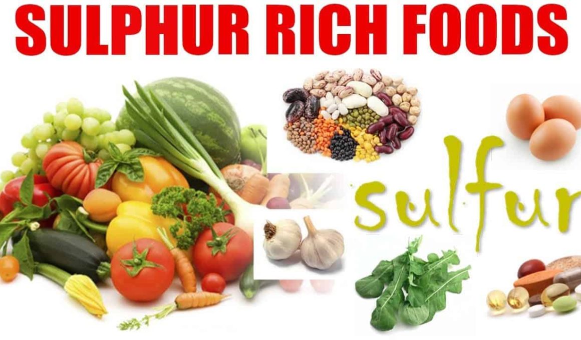 Sulphur Food Sources