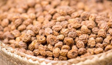 Tiger nut