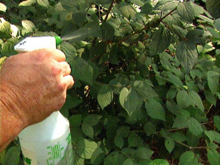 Fungicides