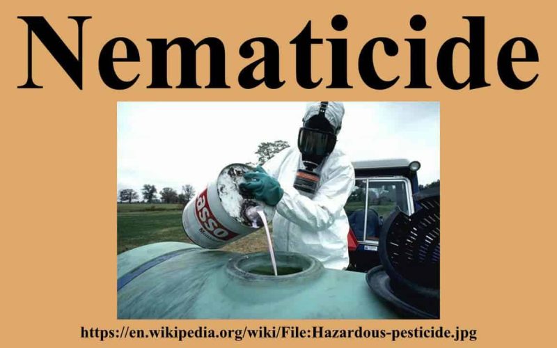 Nematicides