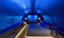 Hotels in the World