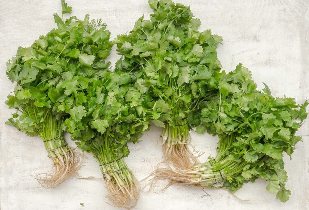 Parsley