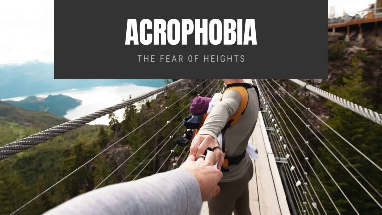 Acrophobia The Fear of Heights