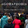 Agoraphobia The Fear of Open Places or Crowds